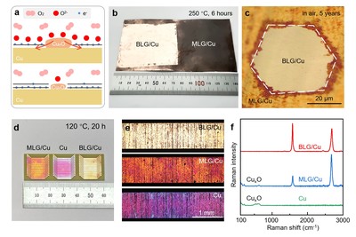 双面各异 铜上双层石墨烯的非对称掺杂机制研究揭示